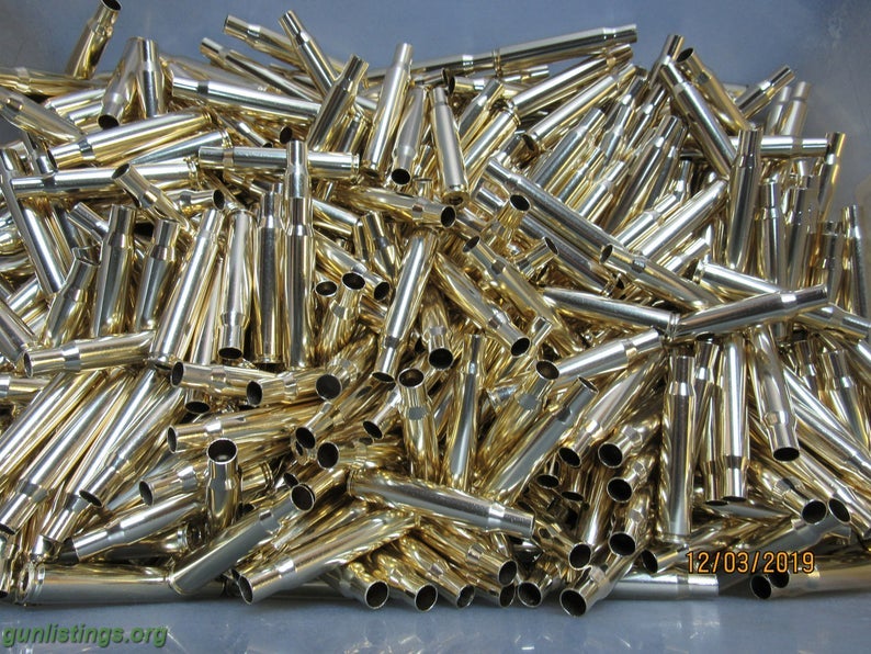 Ammo Brass Shell Casings