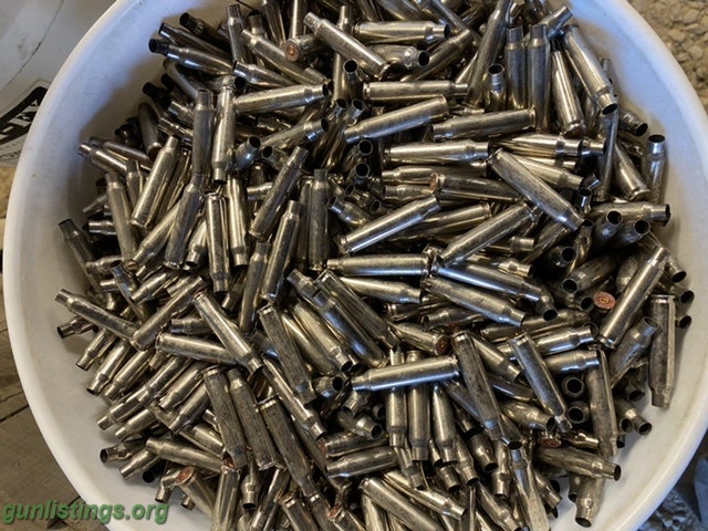 Ammo Nickel 223 Once Fired Brass