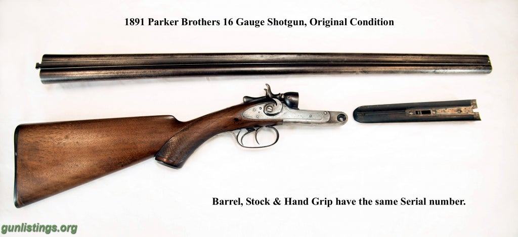 Collectibles 1891 Parker Brothers 16Ga Double Barrel Shotgun