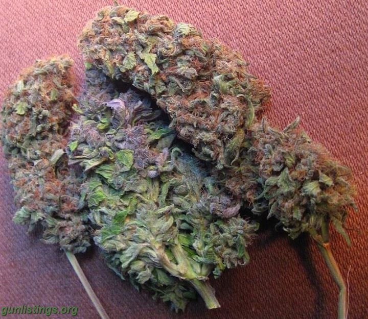 Misc Medical Marijuana Strainsâ€™ Grade:A++ Top Shelf OG Kush,