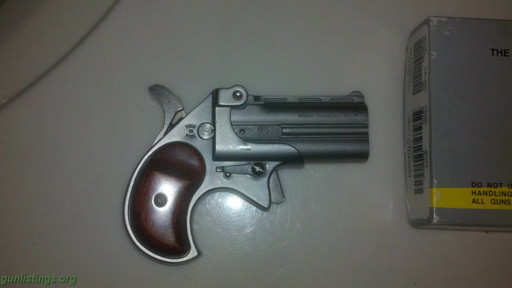 Pistols 380 Derringer