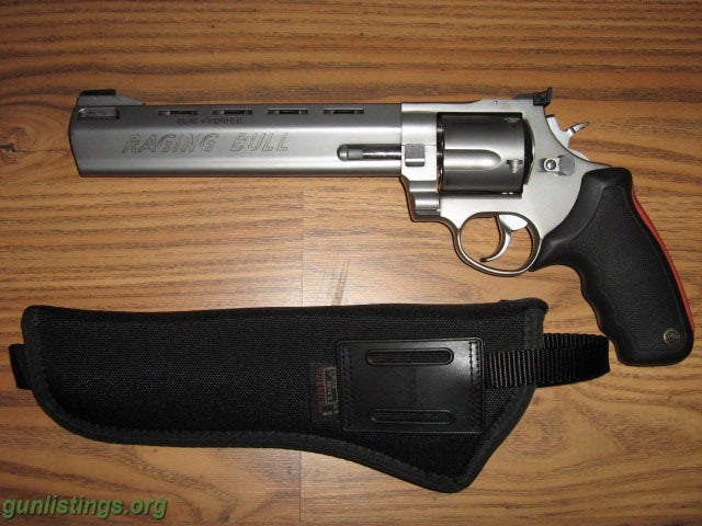 Pistols 454 Casull - Raging Bull