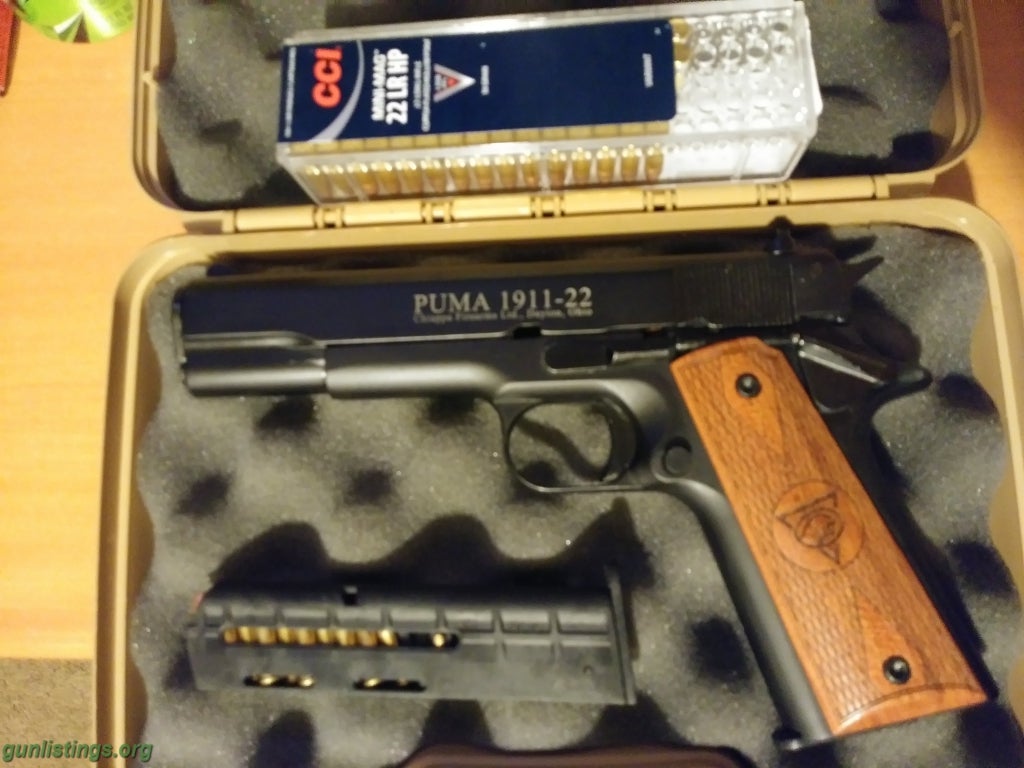 Pistols Chiappa 1911 22 Pistol