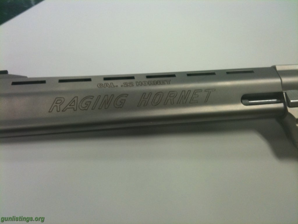 Pistols .22 RAGING HORNET