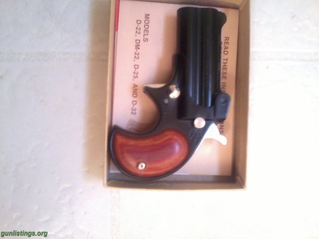 Pistols DERRINGER,.22mag