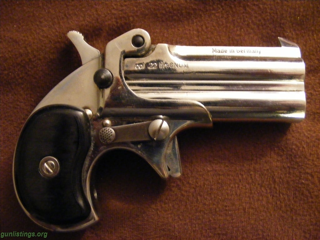 Pistols Derringer