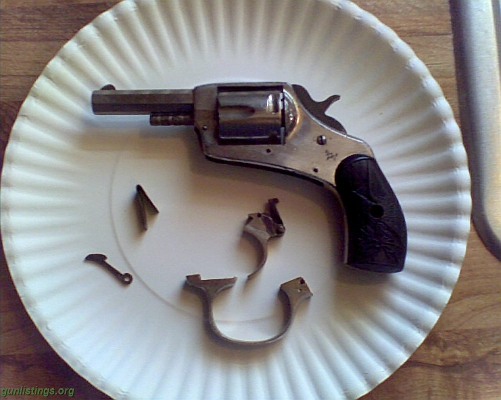 Pistols Iver Johnson Revolver