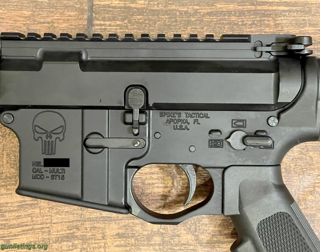 Pistols Spikes Tactical â€˜Punisherâ€™ AR Pistol