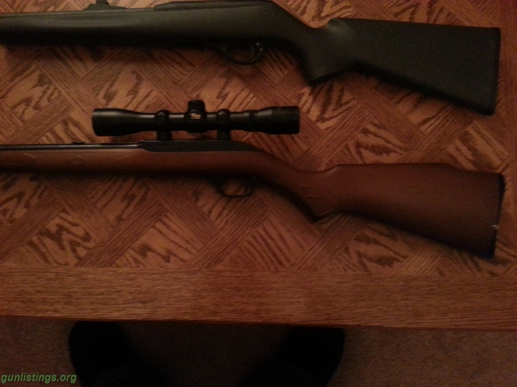 Rifles .22 Lr Remington 597 Or Marlin Model 60