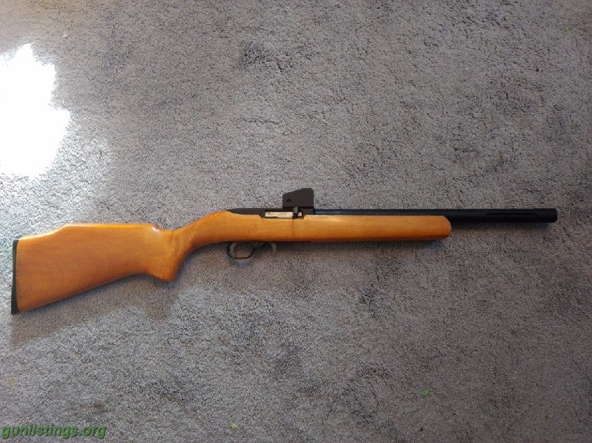 Rifles 10/22 Lightweight Custom