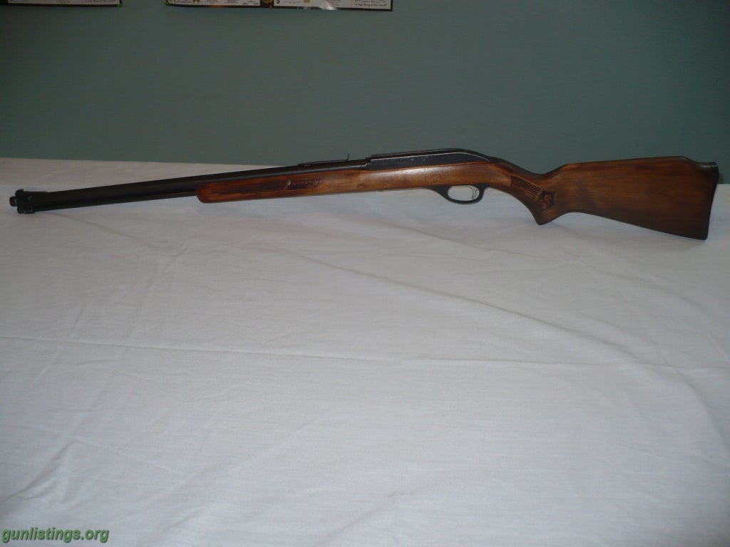 Rifles .22 Auto Rifle