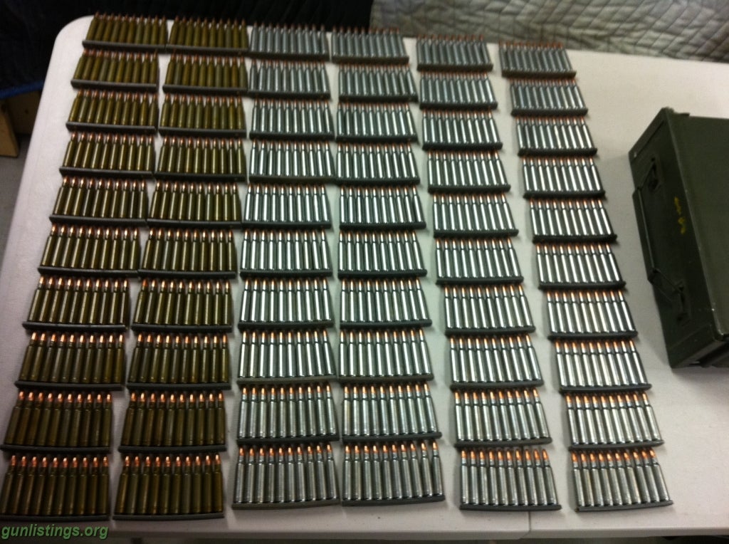 Rifles 600 Rounds .223/.556 Ammo