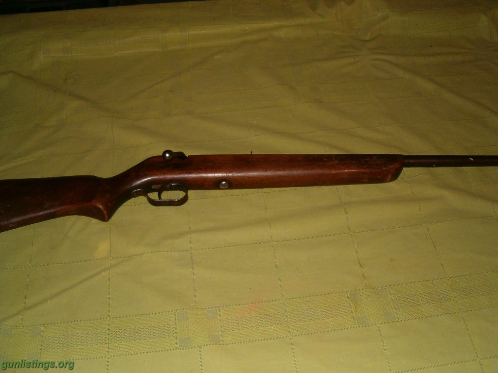 Rifles Bolt Action .22