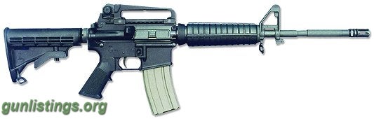 Rifles Bushmaster 90289 3F 223 PATROLMAN 30R