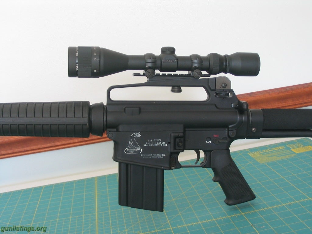 Rifles BUSHMASTER AR 10 (308)