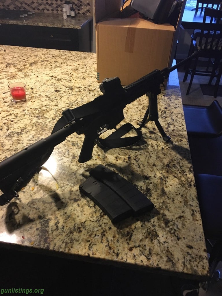 Rifles Bushmaster AR 15 With Accessories