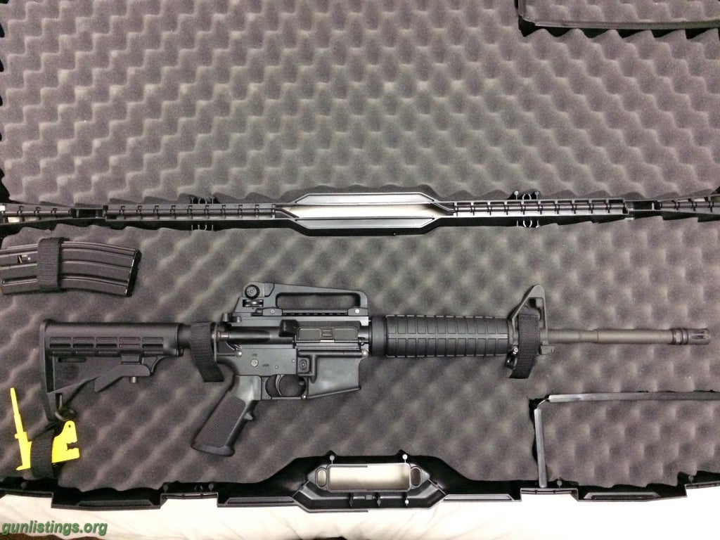 Rifles Bushmaster XM15-E2S And Case