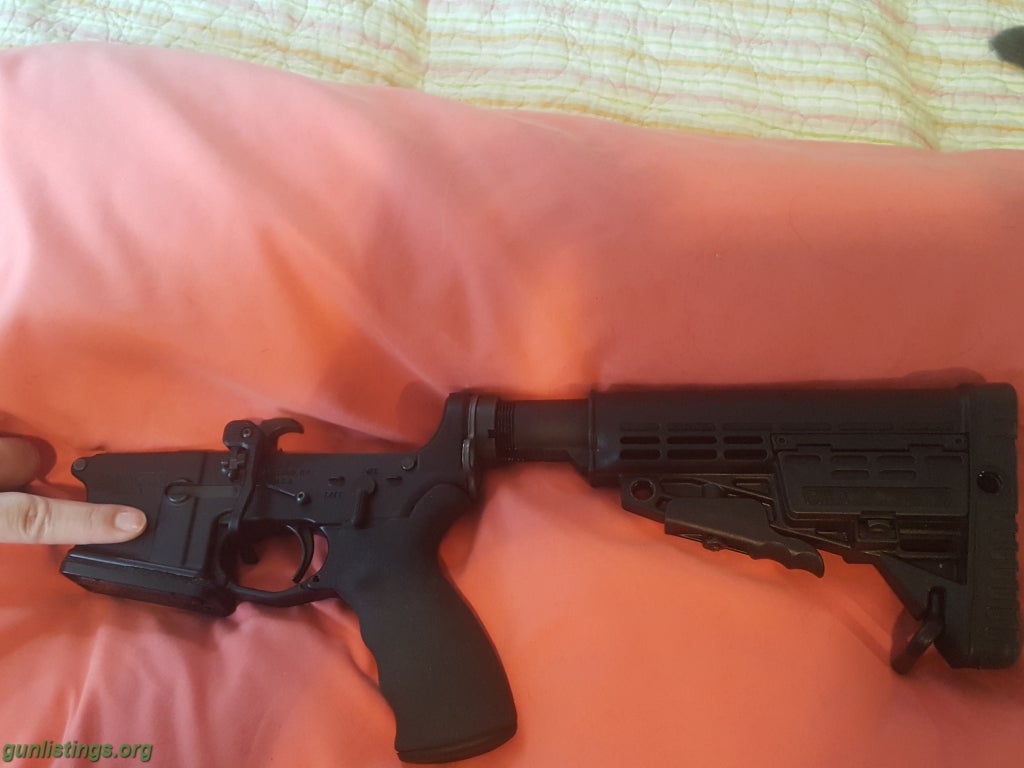 Rifles DPMS COMPLETE LOWER