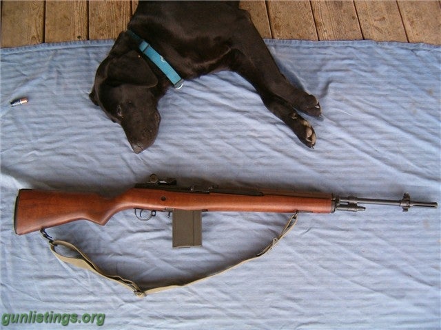 Rifles FAMILY WEAPON M1A M14 SPRINGFIELD ARMORY