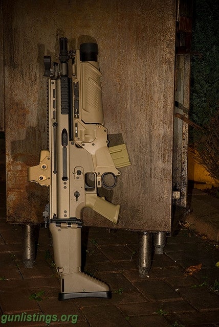 Rifles FN SCAR Modular Assault Rifle