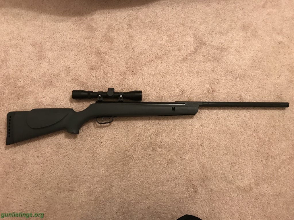 Gunlistings.org - Rifles GAMO Big Cat 1200 W/scope