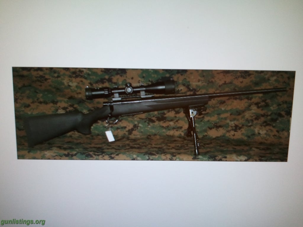 Rifles HOWA Model 1500