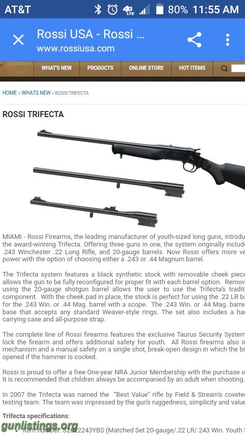 Rifles Iso. Rossi Combo