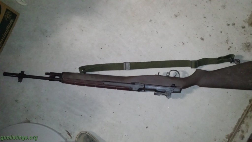 Rifles M14 And 1022 Rifles