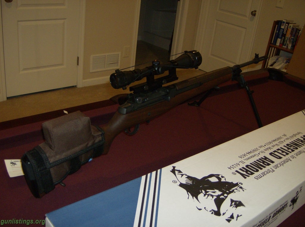 Rifles M1A Loaded