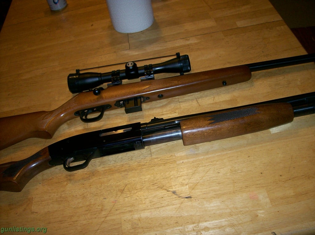 Rifles Marlin 17 Hmr Walnut Bull Bbl