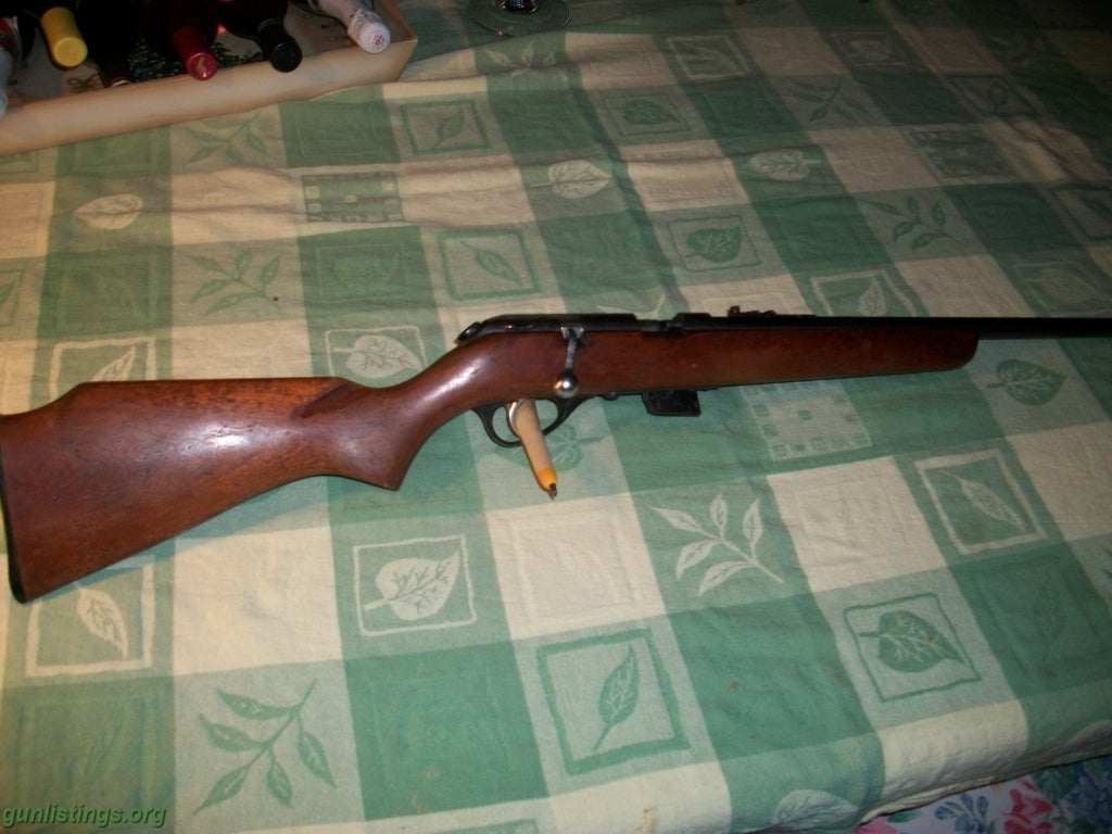 Rifles Marlin 22L