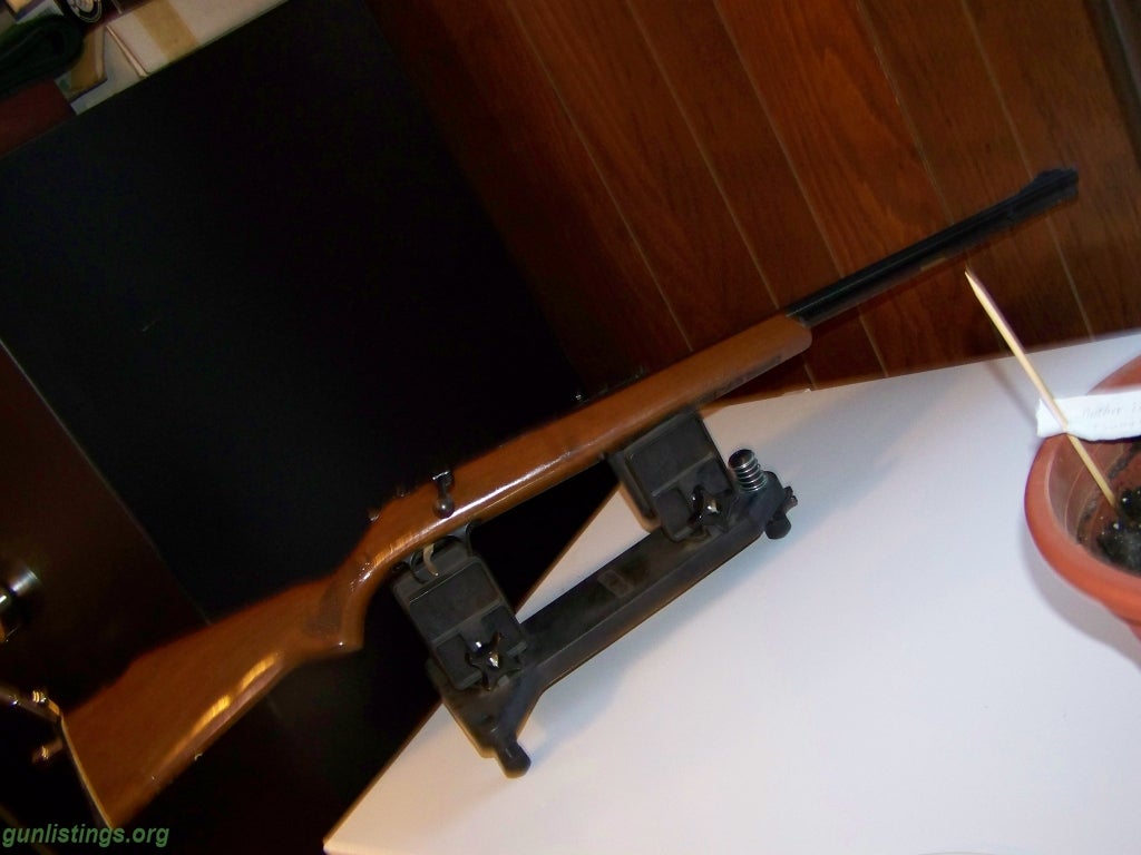 Rifles Marlin 22MAG