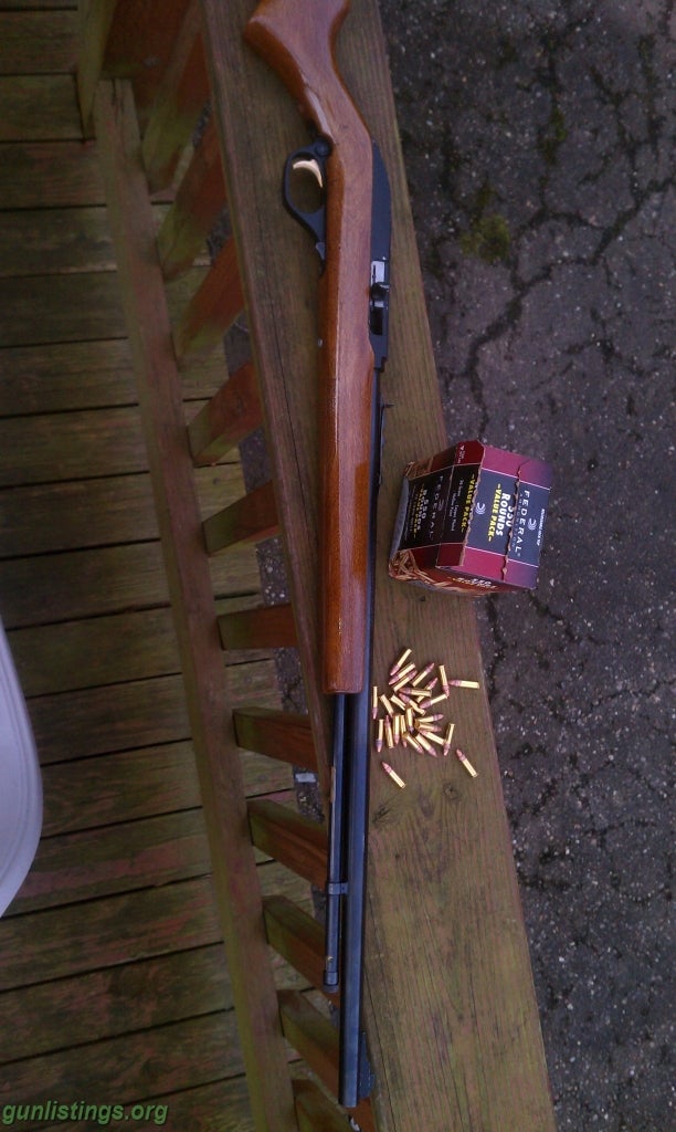 Rifles Marlin Model 60 With Scope And Red Dot