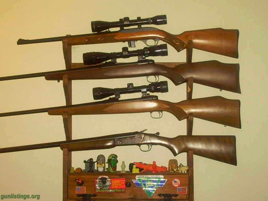 Rifles Personal Rifle Collection