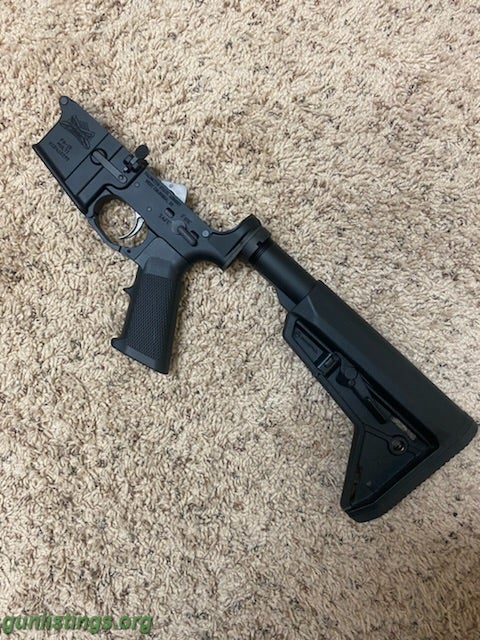 Rifles PSA Lower Complete