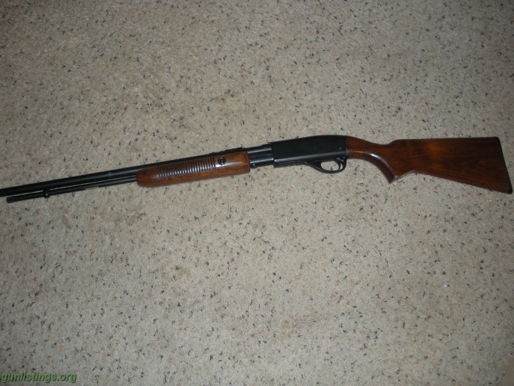 Rifles Remington 22lr Pump