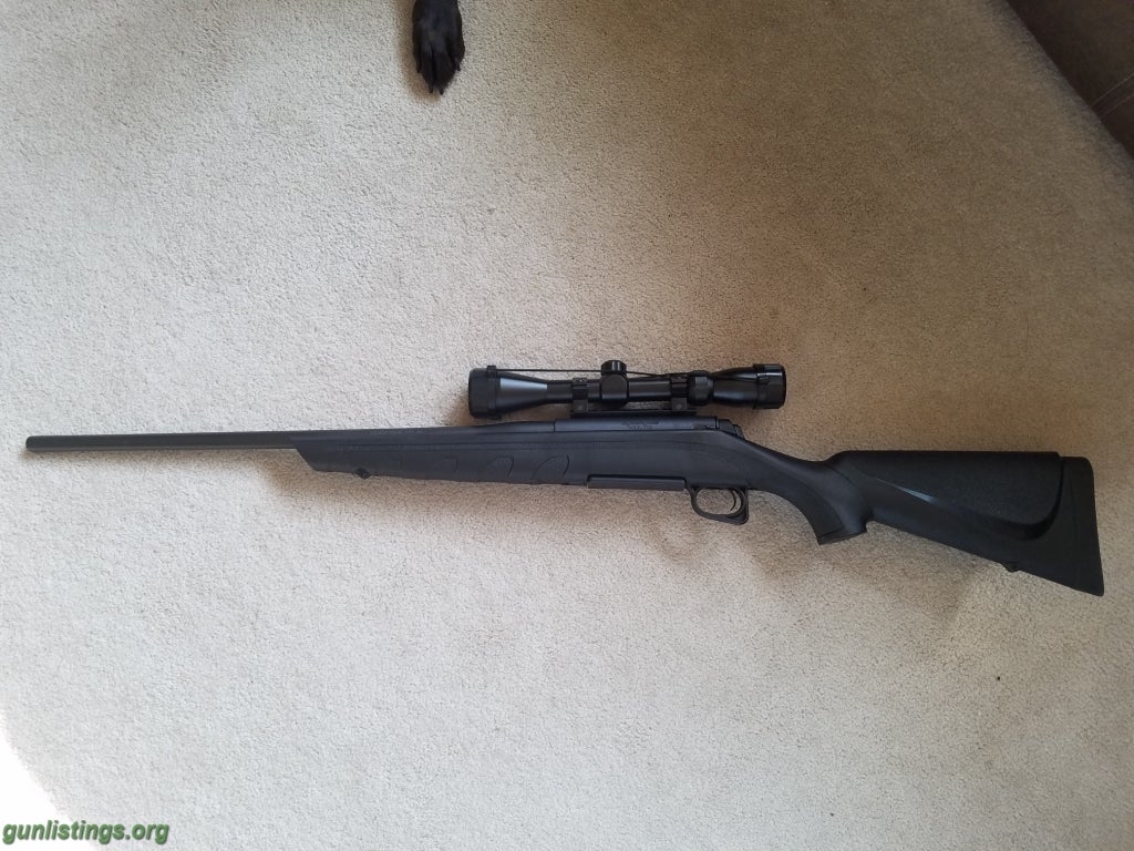 Rifles Remington 770 .243 WIN