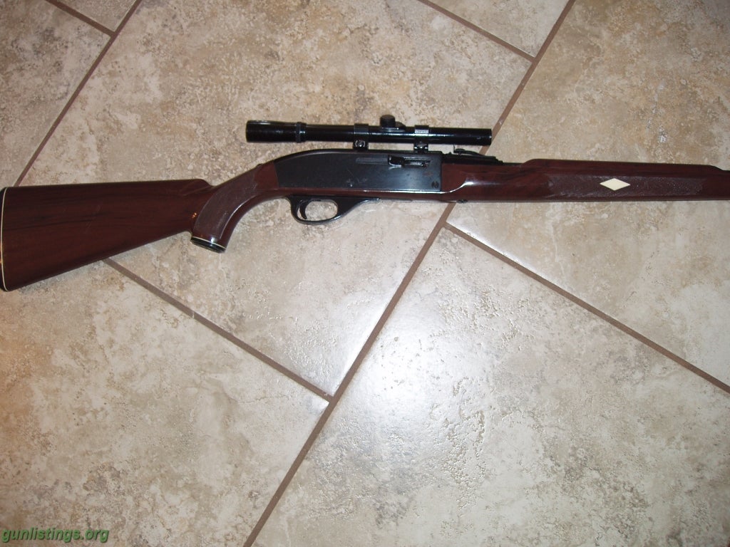 Rifles REMINGTON NYLON 66