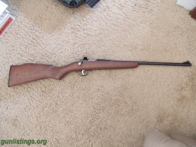 Rifles Rogue Rifle Chipmunk 22 Single Shot