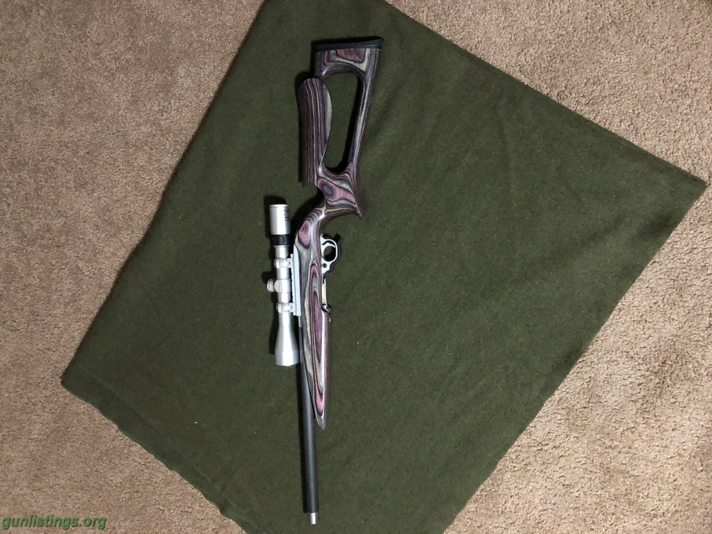 Rifles Ruger 10/22 .17 Mach 2 Conversion