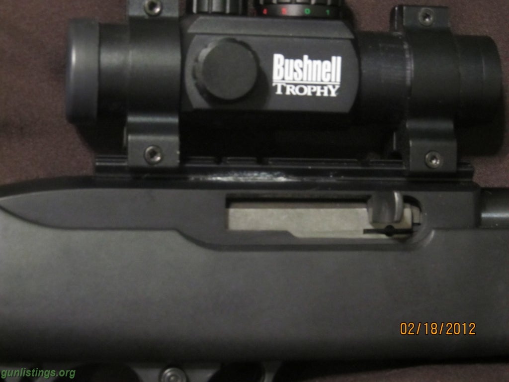 Rifles Ruger 10/22 With Nice Red Dot Scope