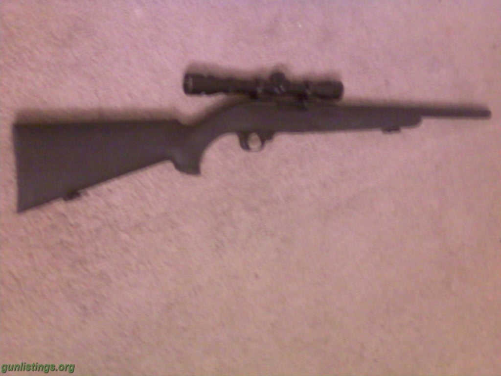 Rifles Ruger 10/22 Custom