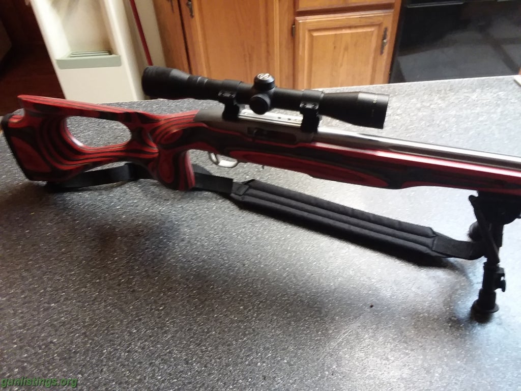 Rifles Ruger 1022 Custom Rifle