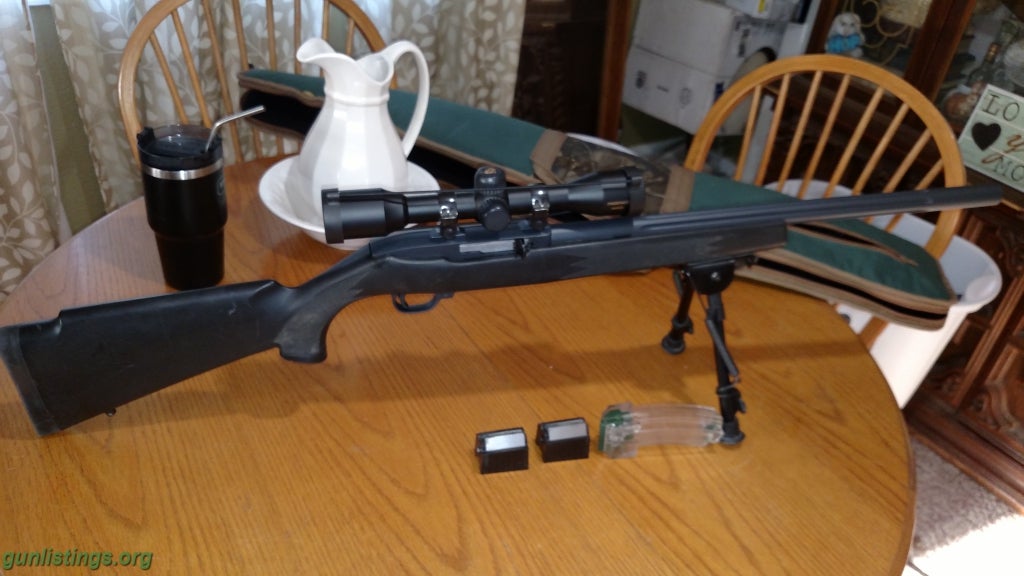 Rifles Ruger 10 22 MAGNUM