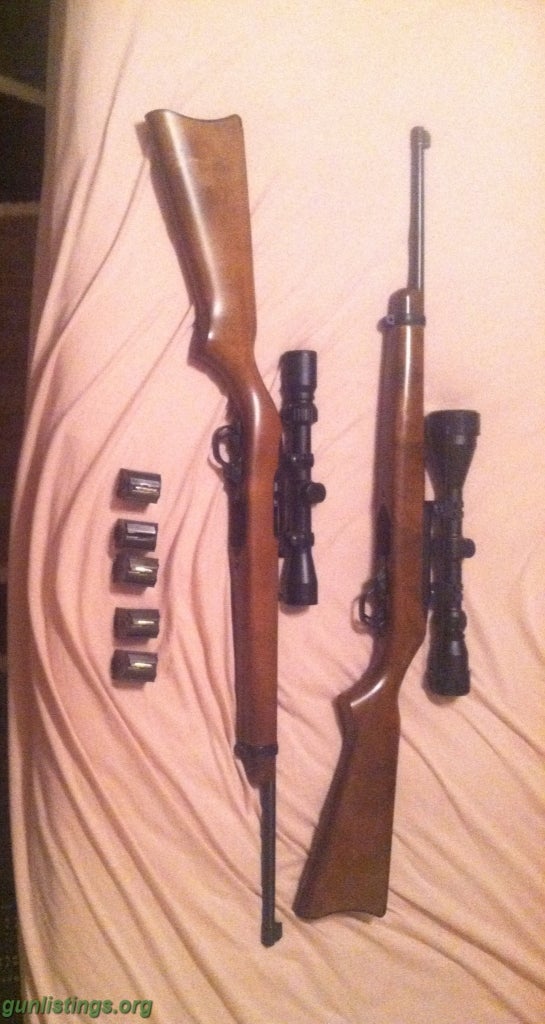 Rifles RUGER 10 22s