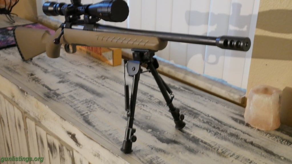 Rifles Ruger Ranch Sniper