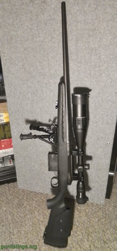 Rifles Savage .308 10+1 With Ammo