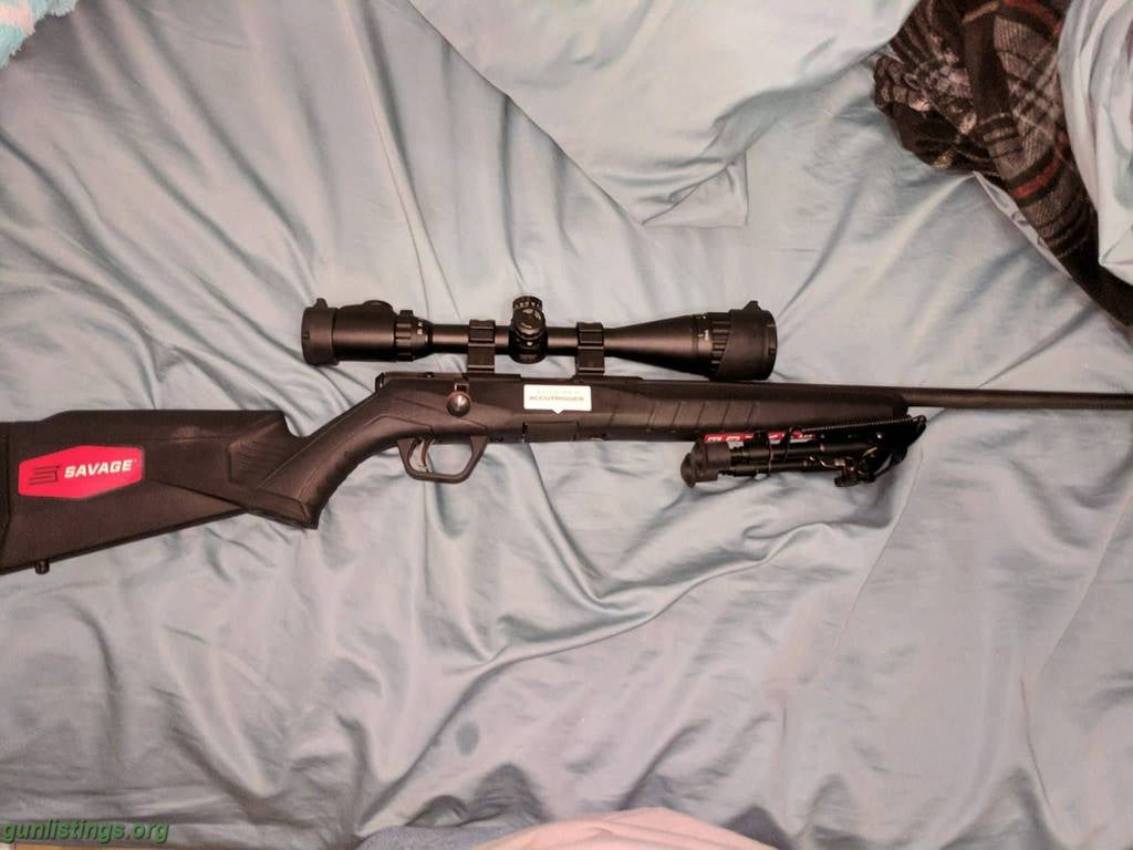 savage 17 hmr range