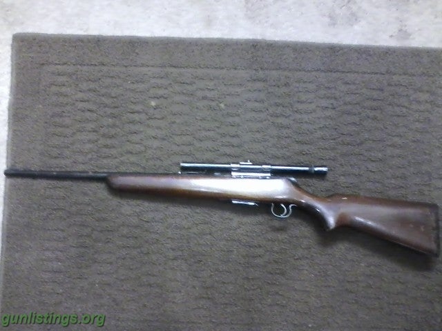 Rifles Savage 22 Hornet