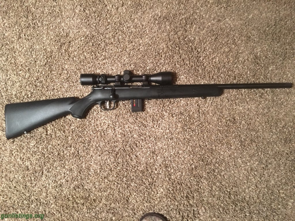 Gunlistings.org - Rifles Savage 22 Mag With Scope